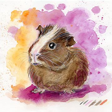 Druck "Meerschweinchen"