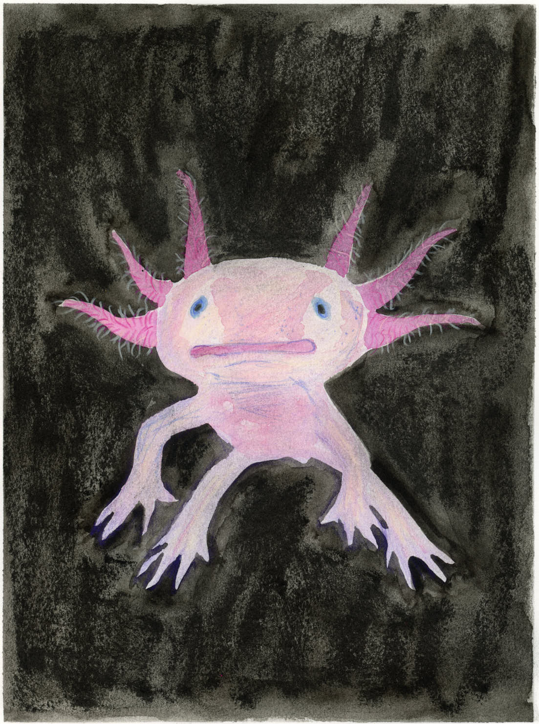"Axolotl"